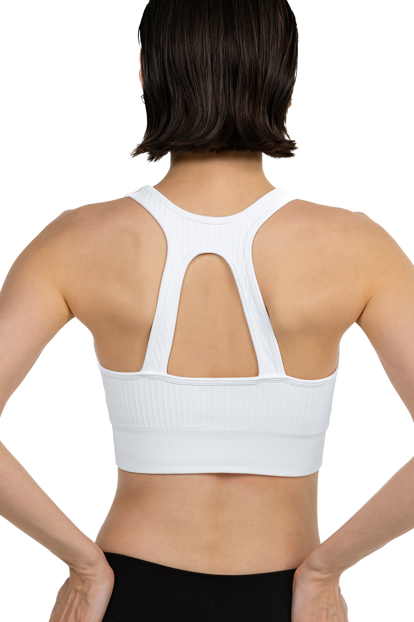 ProFit Athletic Bra. - ascendiastore