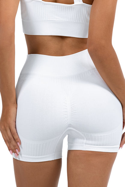 Shape Sculpt Fitness Shorts - ascendiastore